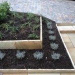 Paving